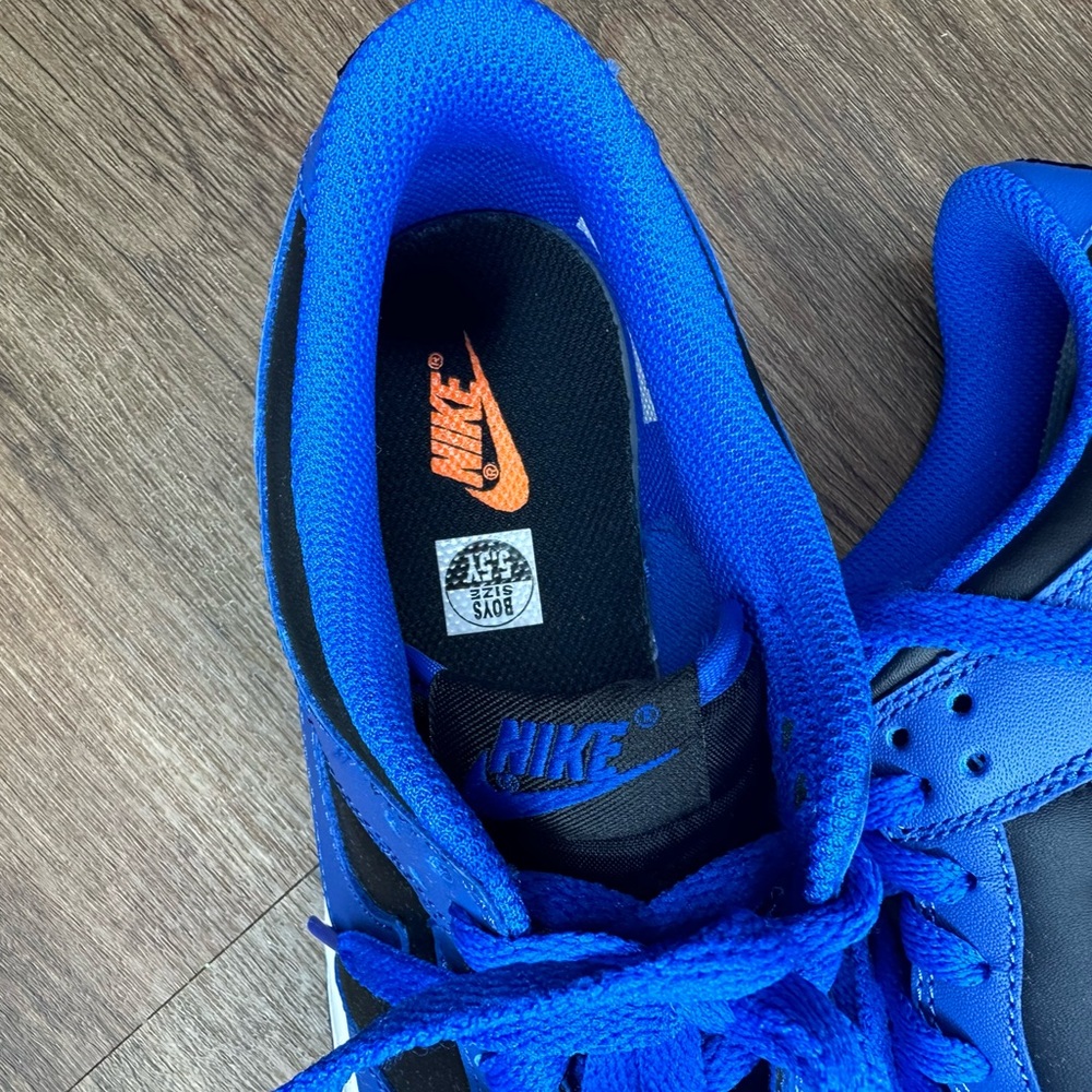 Cobalt Nike Dunk Low Retro - Picture 2 of 8